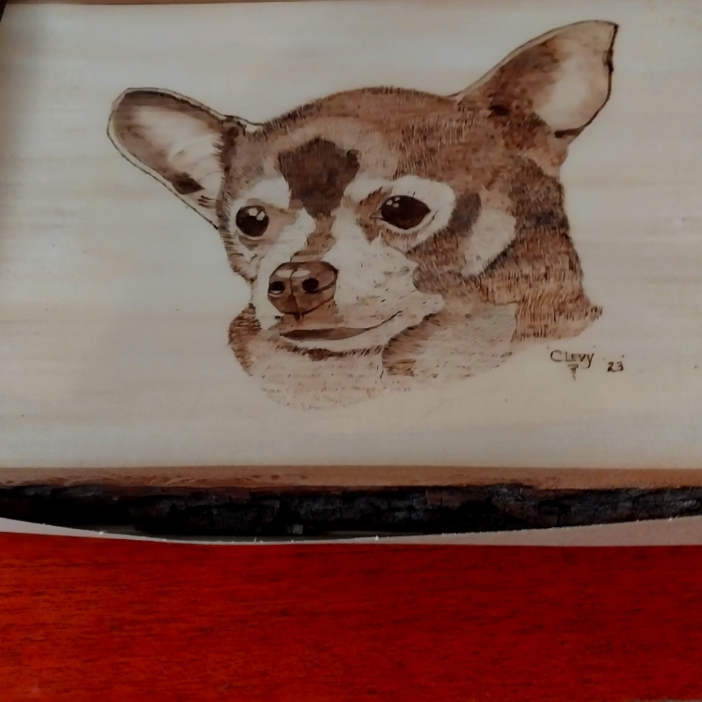 Personal and one of a kind unique woodburnings,